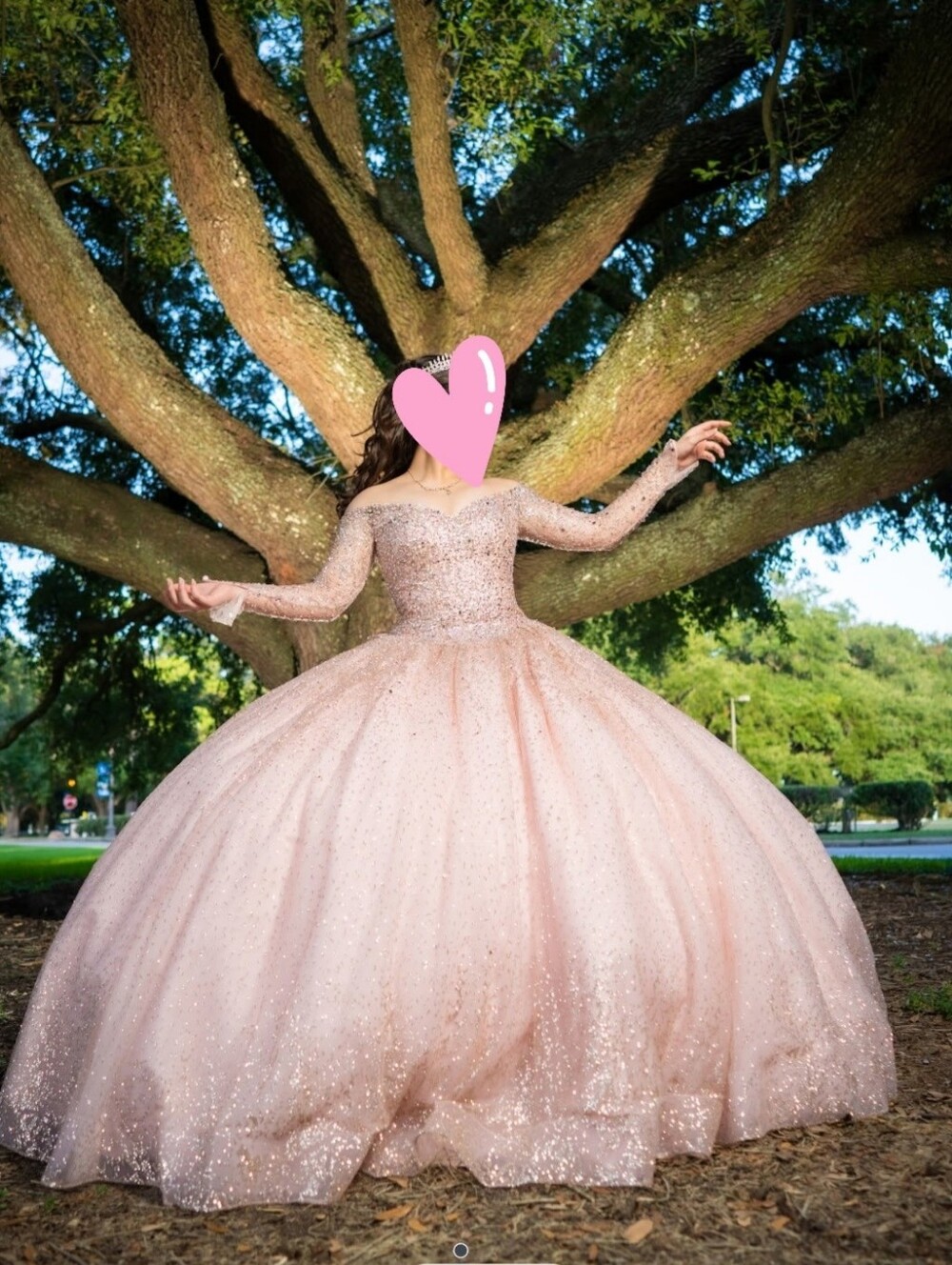 Morilee Quinceañera Dress/Ramo/Teddy